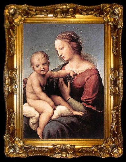 framed  RAFFAELLO Sanzio Madonna and Child, ta009-2